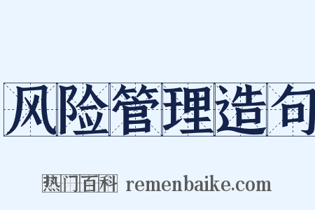 风险管理造句是什么意思的图片